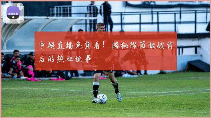 中超直播免费看！揭秘绿茵激战背后的热血故事